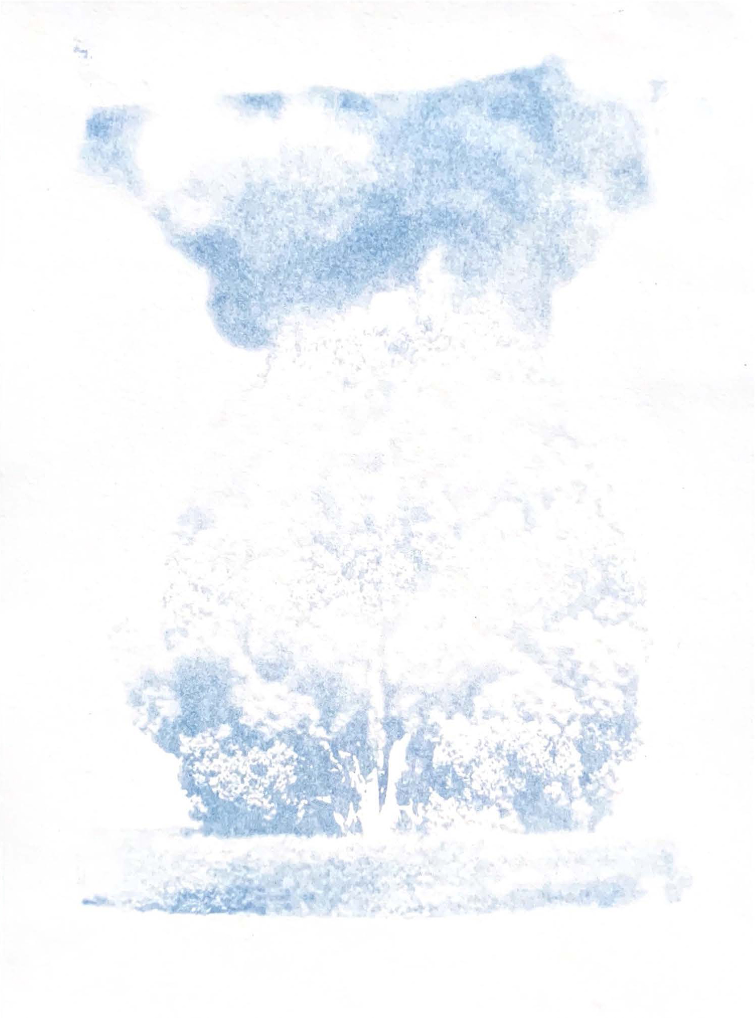 Dream’s Ashes — image 18