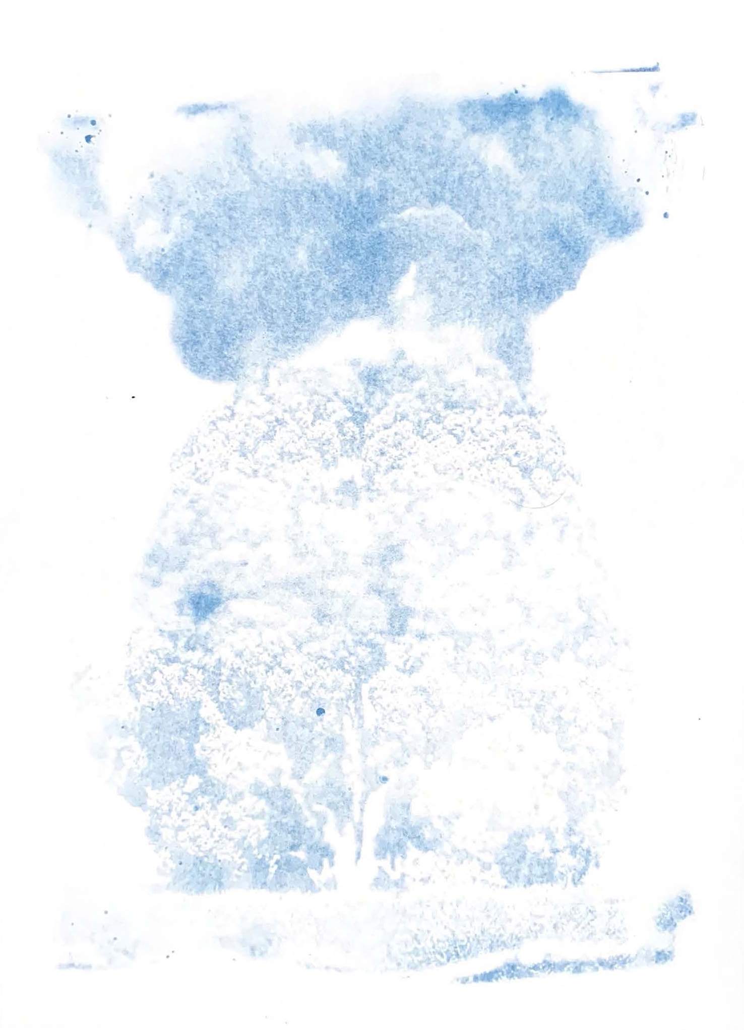 Dream’s Ashes — image 15
