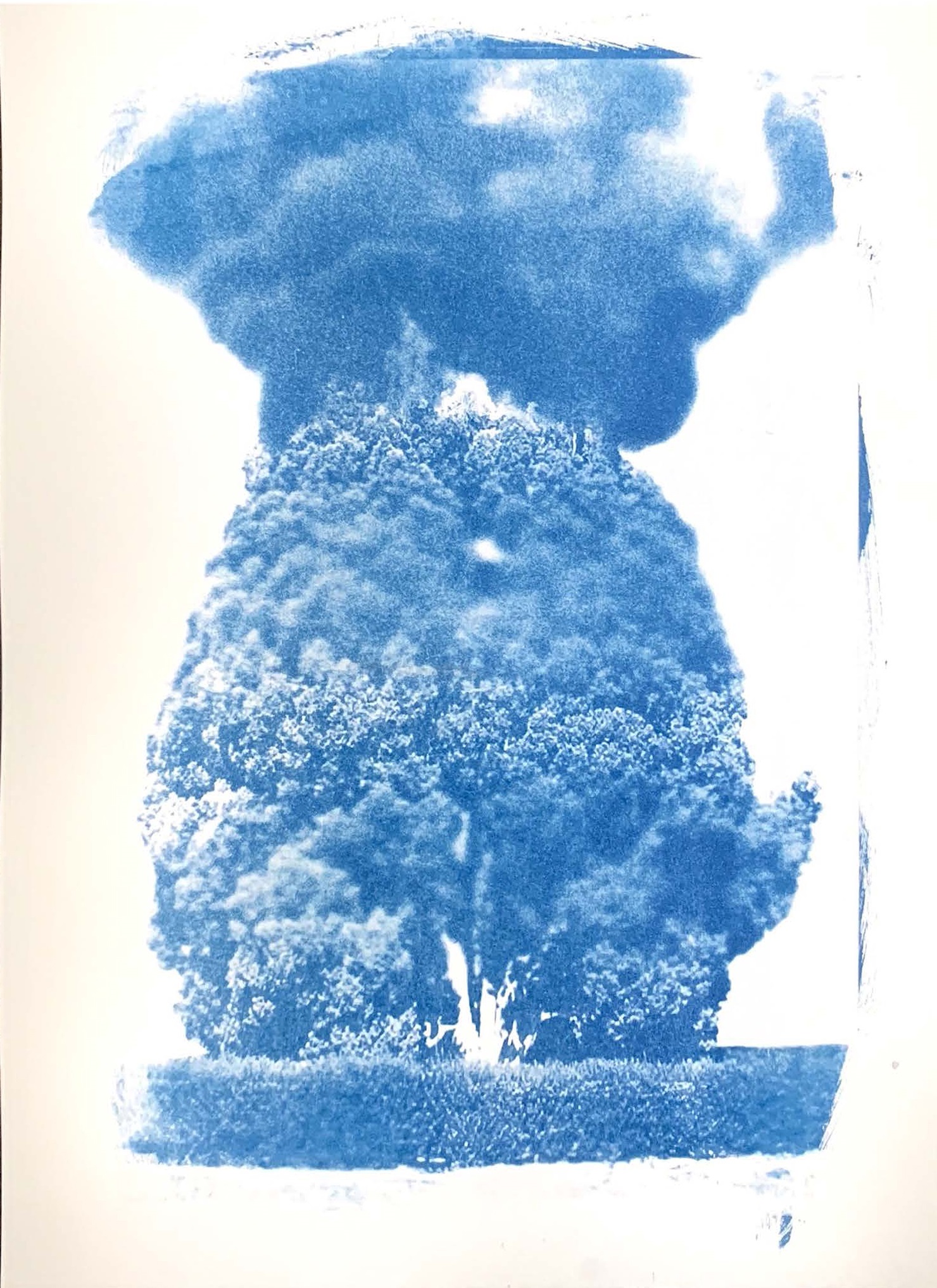 Dream’s Ashes — image 13