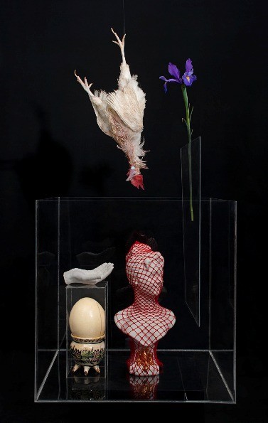 Still Life — image 4