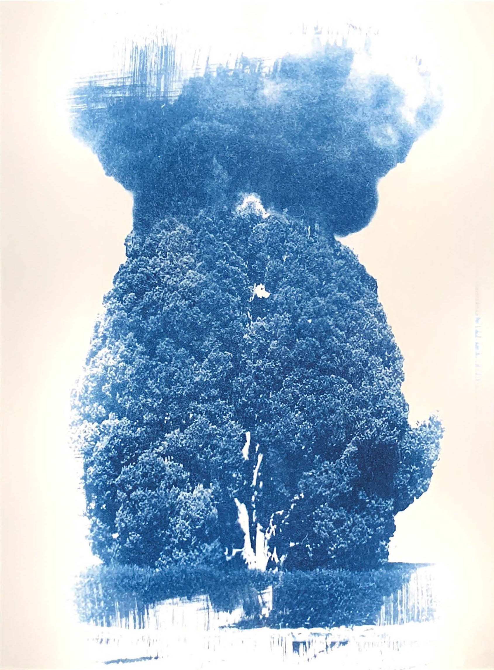 Dream’s Ashes — image 12