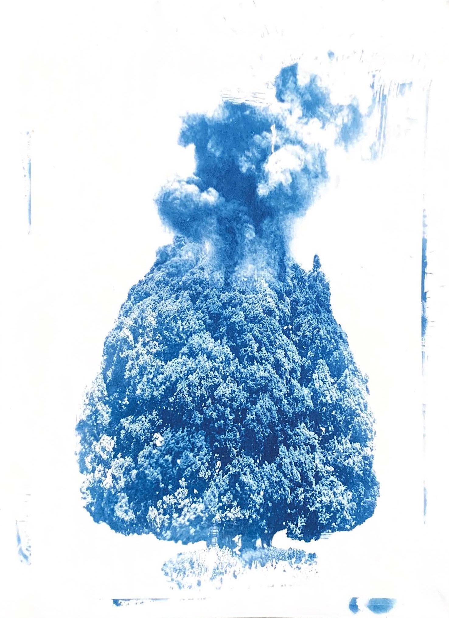 Dream’s Ashes — image 7